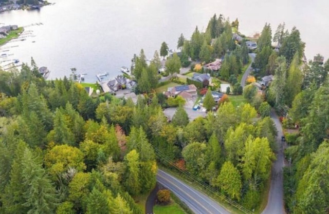 Lake View Chalet w/Spa Tub & luxury bidet