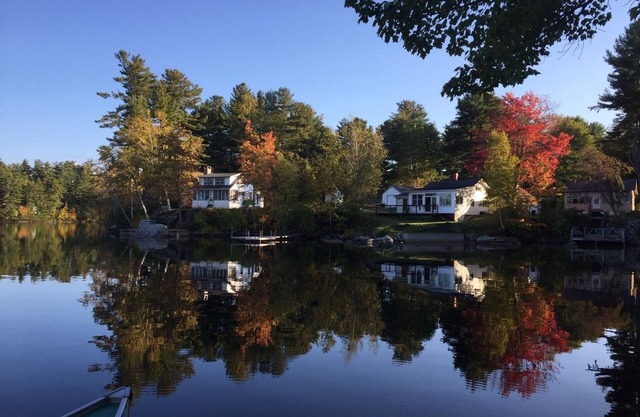 Lakefront, private dock & deck, dog friendly, fast wifi on crystal clear Panther
