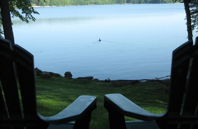 Lakeside Cottage with all the amenities