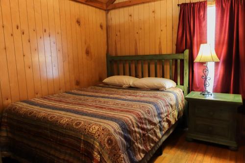 Lakeview Cedar Cabin - The Birds Nest - 1