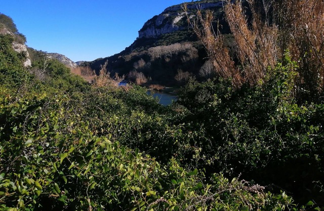 Lamedoune, apartment with swimming pool in the heart of the southern Cévennes