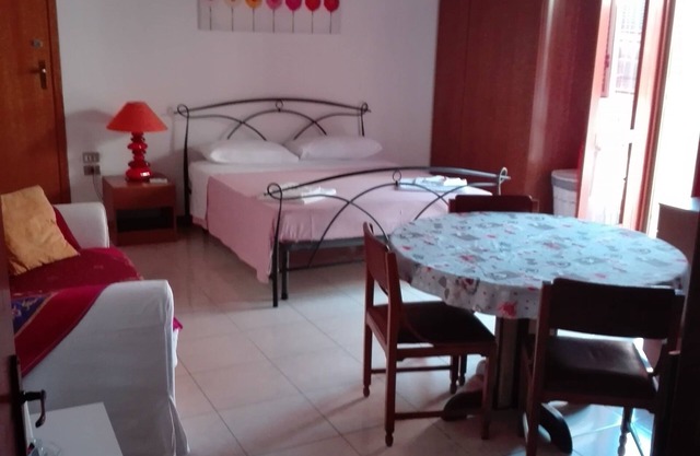 Large and bright studio apartment