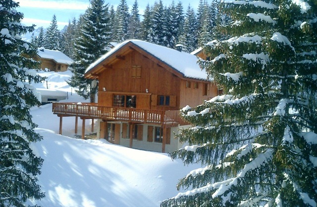 Large chalet 20 people in Doucy-Valmorel Savoie