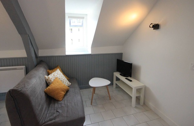 Large cozy and attic studio