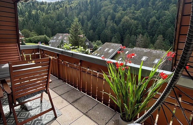 Large Feldberg suite with balcony