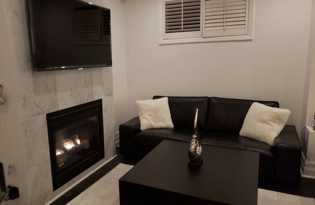 Large renovated, furnished 1 BR basement apartment