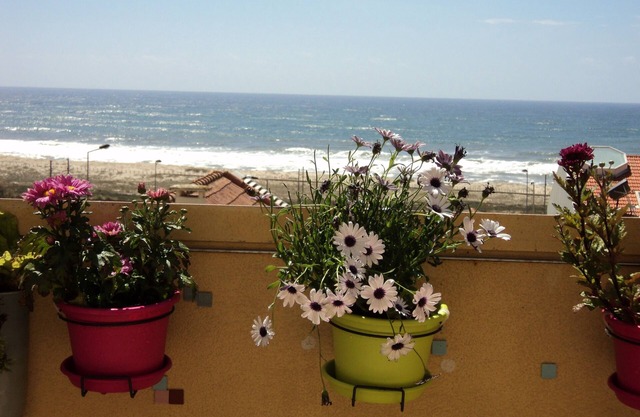 Large seaside apartment