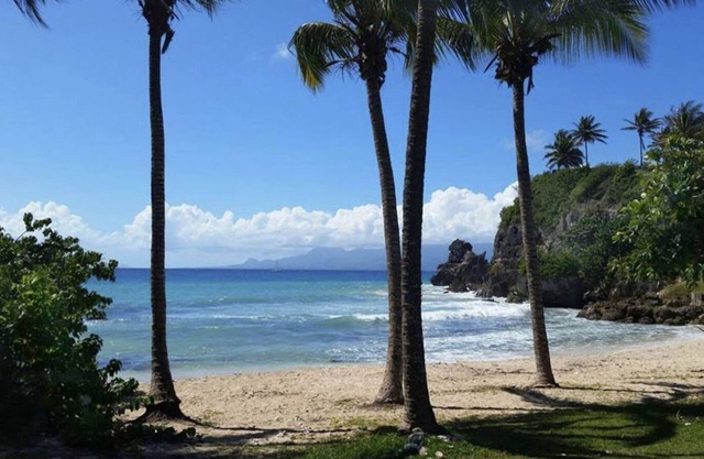 Large T2 not overlooked with direct beach access.