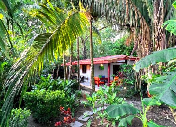 Las Plumas Jardin de Cabuya