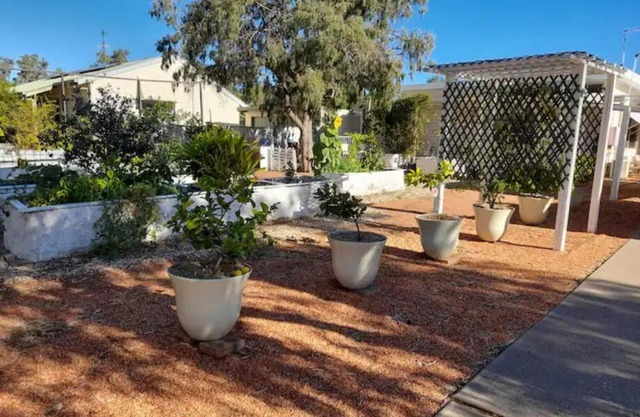 Lavender Cottage - At home in Lightning Ridge