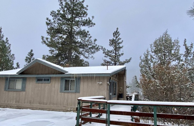 Lazy Bear Lodge - 3BR/2BA/relaxing forest views/Smart TV/Wifi/Fenced Yard