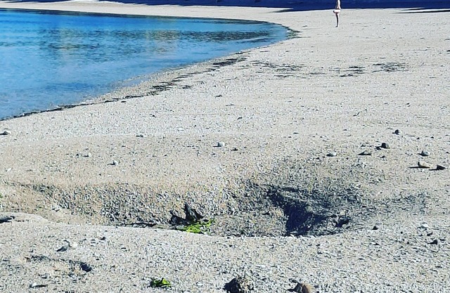 Le 3 appartement jardin privé bord de mer 100m de la plage et de la thalasso