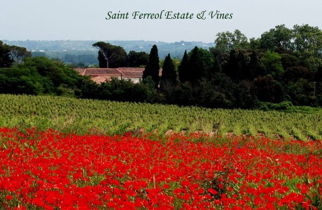 Le Caveau spacious vintage vineyard villa at DOMAINE SAINT FERREOL