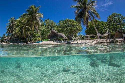 Le Coconut Lodge