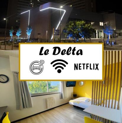 Le Delta - Centre CHU - parking privé - Netflix