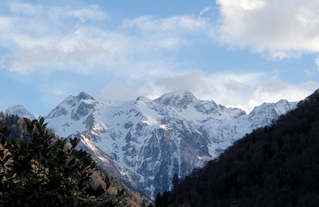 Le Granny's; cosy, quiet 2-bedroom apartment near town center and cable car