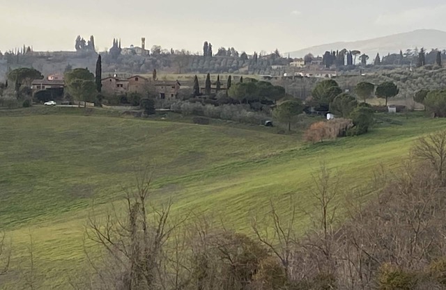 Le Piccole Scalette"Under the Tuscan Sun"