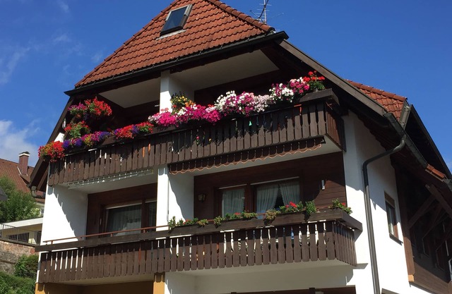 Lenzkirch - very cozy apartment - south-facing balcony - centrally in a quiet side street