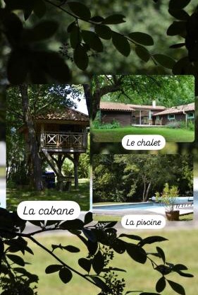 Les Grands Bois Gite et cabane