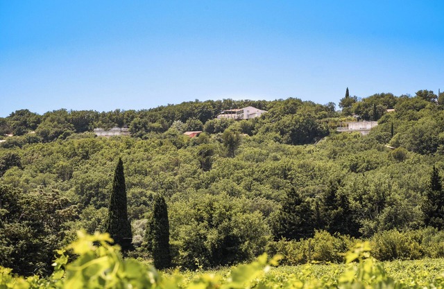 Les Hauts d'Avignon - Guesthouse - Room 1