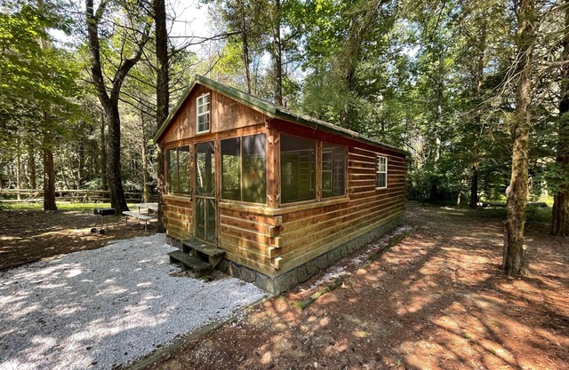 Life's A Hoot, Twin Lakes Country Cabins
