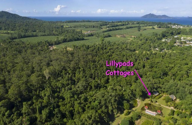 Lillypads Red Cottage - Rainforest Tranquility