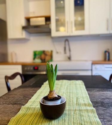 Lily-Rose Cottage
