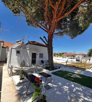 Limnos Twin Pine