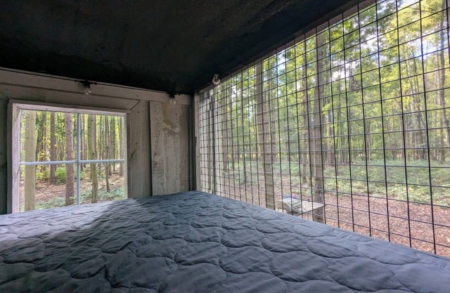 Little Can in the Pines - Bunkie No. 2
