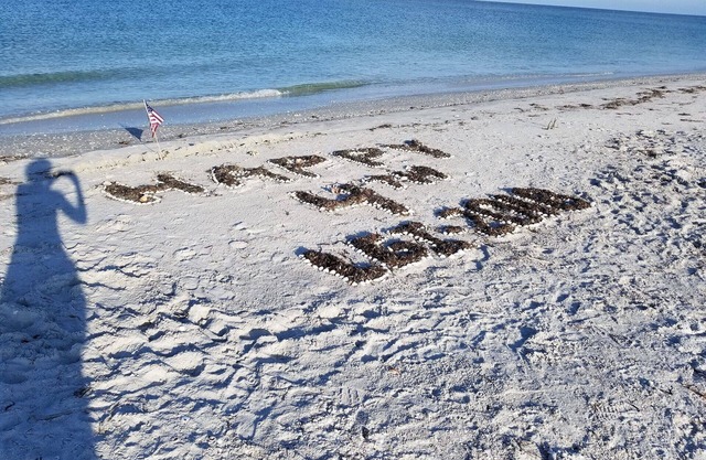 Little Gasparilla Island - Gulf view, golf cart, ferry, pool, boat dock, parking