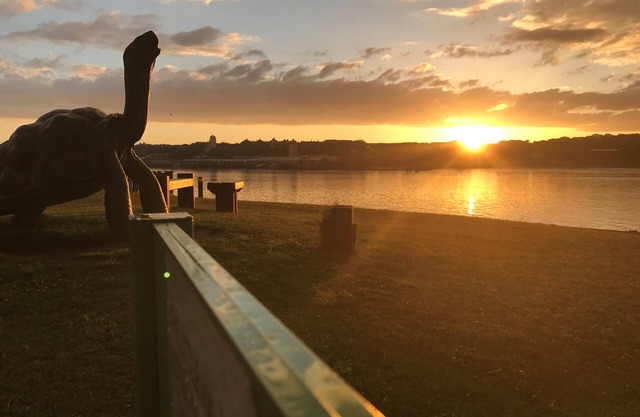 Little Haven Hotel On The Beach