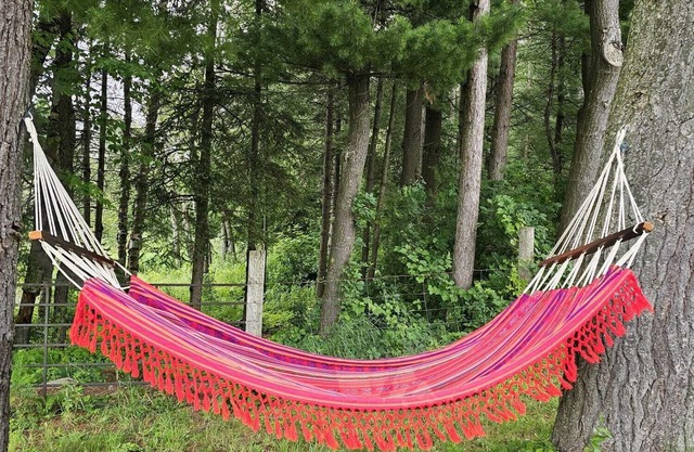 Little heaven in Clarington on 154 acres of land close to Ganaraska forest