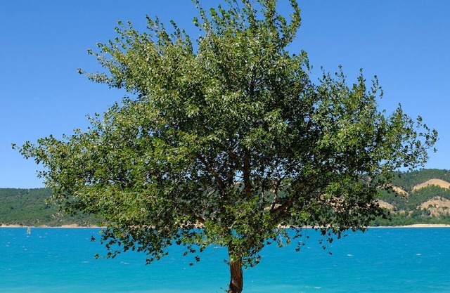 Location Climatisée 1er Étage Avec Espace Extérieur.2 Pers.500m du Lac Ste Croix