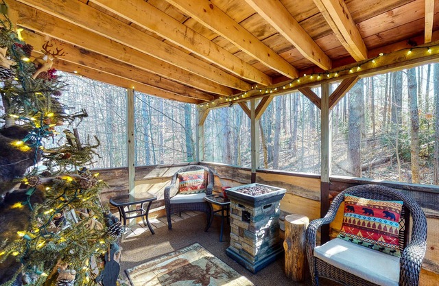 Lodge-style cabin with fireplace, screened porch, washer/dryer, cable, & WiFi