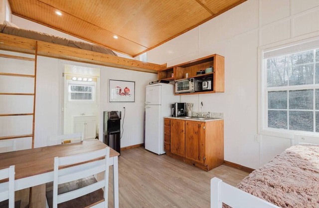 Loft bedroom (Q), extra sleeping in living area, full bathroom with shower and tub, pet frendly