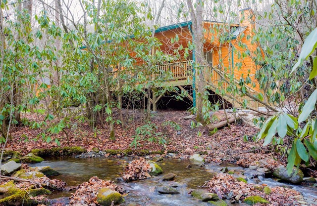 Log cabin nestled in the mountains and situated on Collett Creek