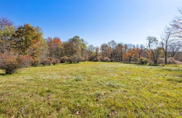Log Cabin on 120 Acres & Spring-Fed Pondn