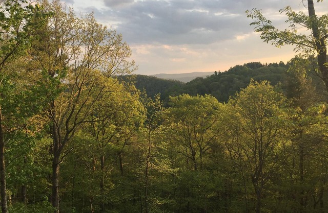 Log Cabin on 9 private acres on Blue Ridge Parkway with gorgeous views