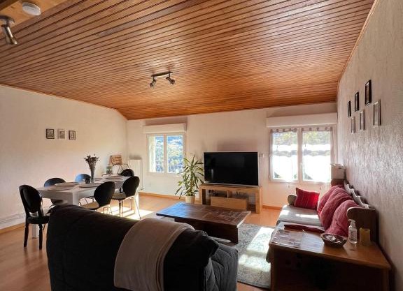 Logement avec vue panoramique à 10min des pistes