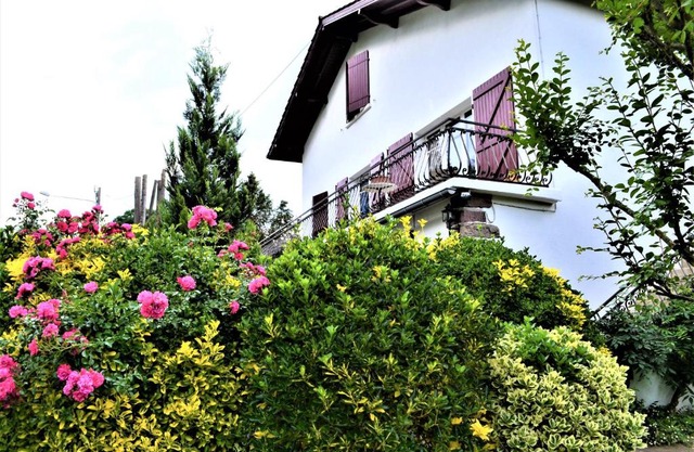 Loretxea