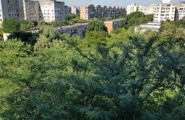 Lots of greenery, quiet and fresh air.