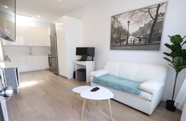 Lovely 1 bedroom appartement in heart of plateau