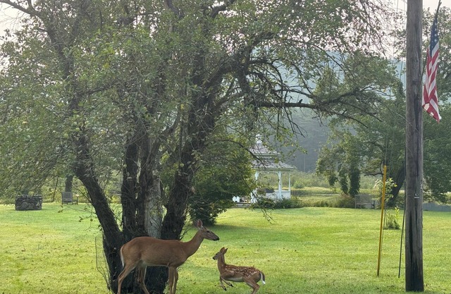 Lovely 2-bedroom house private 2ac setting. Hiking, swimming, kayaking, skiing.