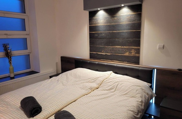 Lovely apartment in downtown with free parking