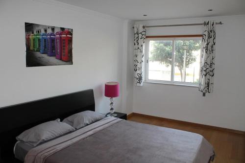 Lovely flat in the center