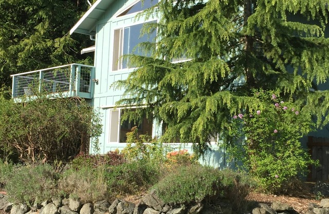 Lovely Private Sunny Cabin Home With Woods, Meadow and Wildlife. Pet friendly.