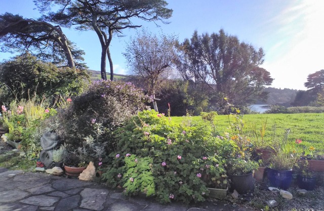 Lovely Sea View Apartment in Rineen - 4 Guests