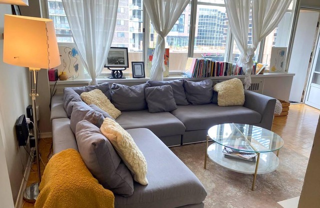 Lovely spacious midtown apartment