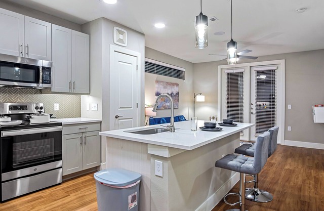 Luxury 1B1B Apartment With Amenities
