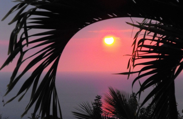 Luxury And Aloha Await You! Relaxation, Great Snorkeling, Large Unit